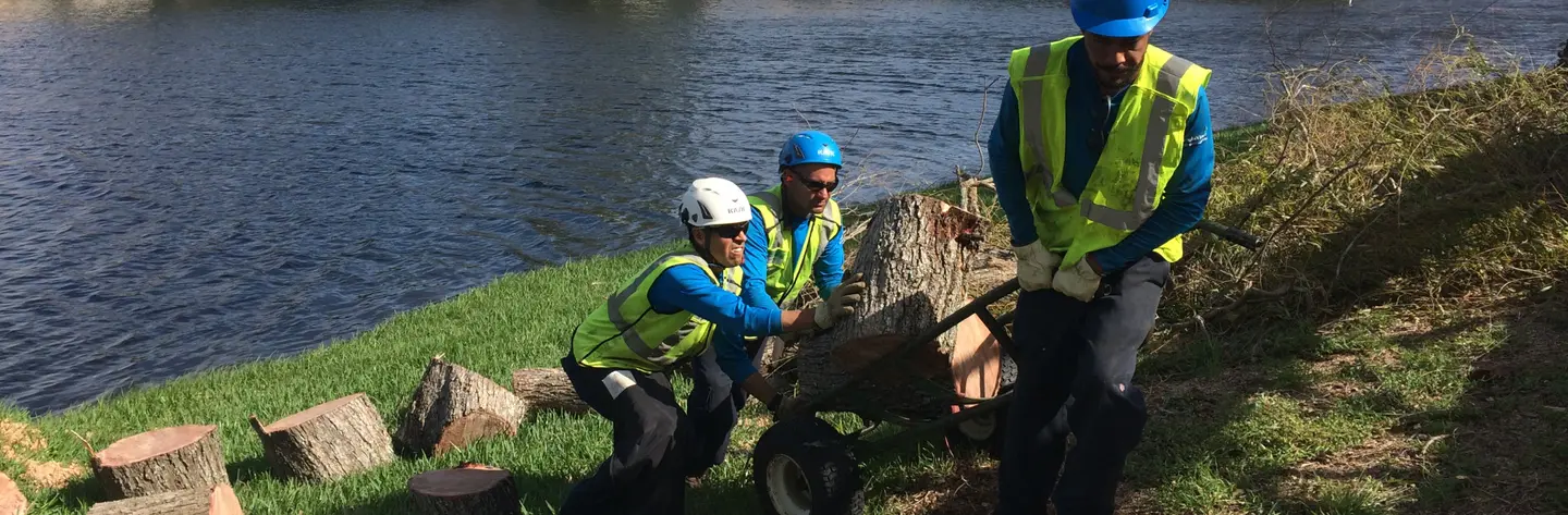 Hurricane Matthew cleanup BrightView
